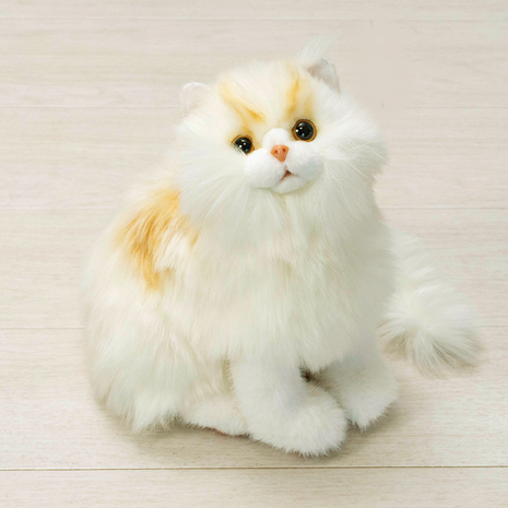 お座りなでなで子猫ちゃん