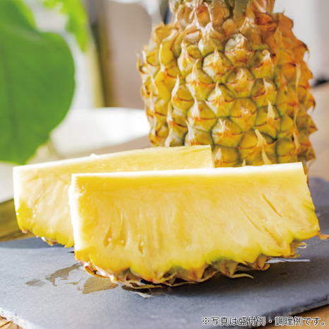 【産地直送】石垣島産　ボゴールパイン