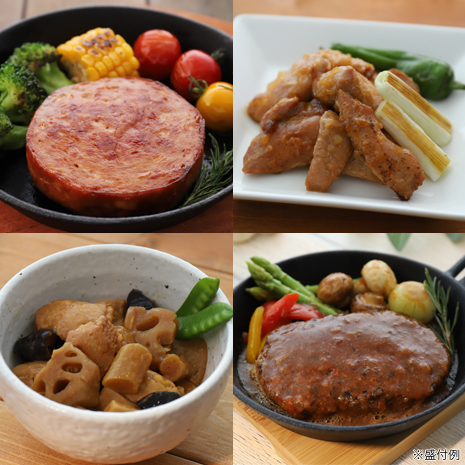 （計１２食）＜日本ハム＞陸上自衛隊戦闘糧食モデル防災食