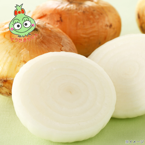 （１０ｋｇ）熊本が生んだ奇跡の玉ねぎ「サラたまちゃん」