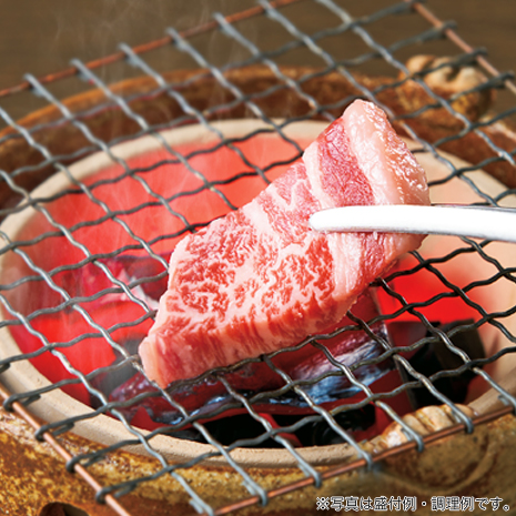 焼肉５種セット