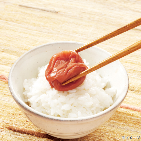 （２．１ｋｇ）紀州南高梅の樽底梅干し