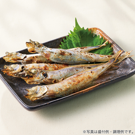 （３５尾）カナダ産　カラフトシシャモ