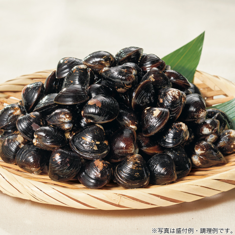 宍道湖産　大和しじみ