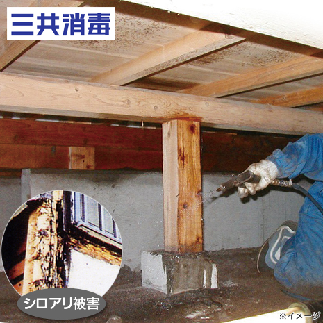 三共消毒のシロアリ駆除サービス