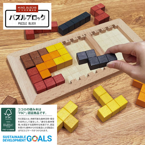 ココロの積み木　パズルブロック