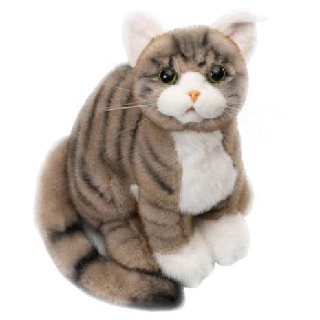 （キジトラ）お座り　なでなで子猫ちゃん