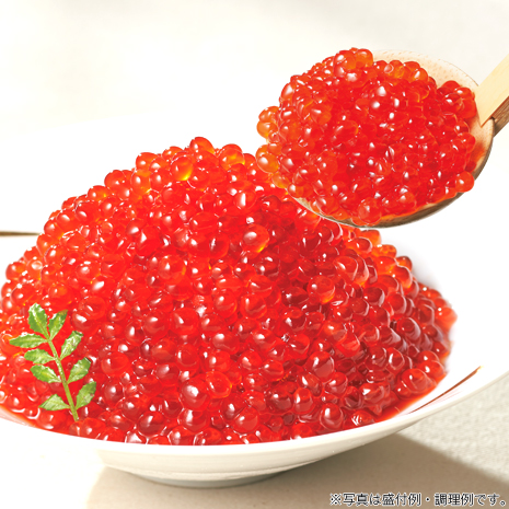（１ｋｇ）手ほぐし厳選　天然紅鮭いくら醤油漬