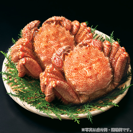 （２尾）北海道産　ボイル特大毛ガニ姿