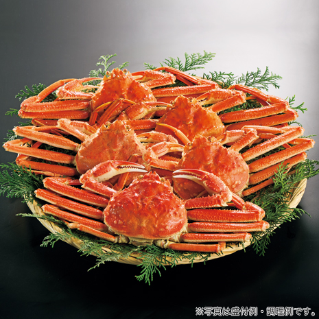 北海道産　ボイル大ずわいがに姿