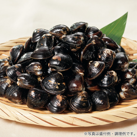 宍道湖産　大和しじみ