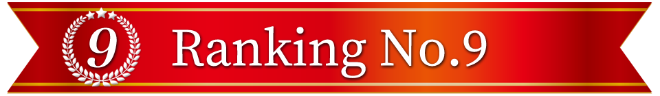 2025ヒットランキング ランキング9位