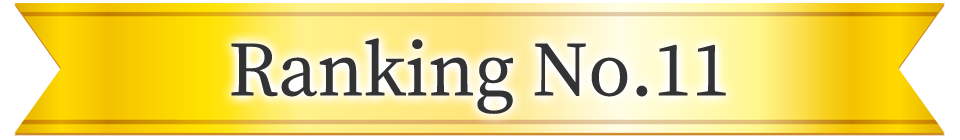 2025ヒットランキング ランキング11位