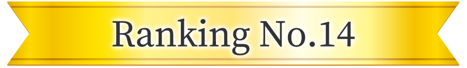 2025ヒットランキング ランキング14位