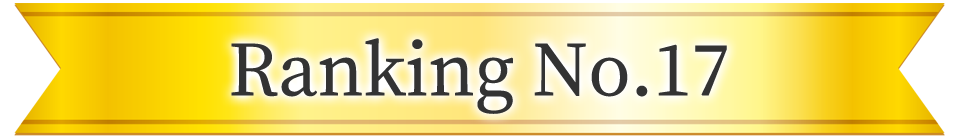 2025ヒットランキング ランキング17位